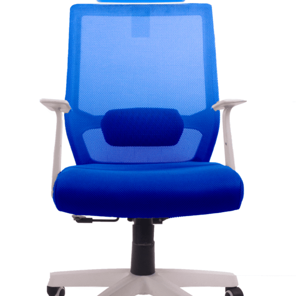 كرسي مكتبOffice Chair DIJA WHBL